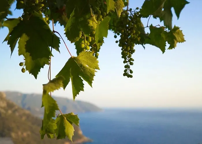 Отель Kabak Mamma's Restaurant & Terrace Bar Фетхие