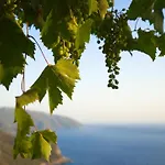 酒店 Kabak Mamma's Restaurant & Terrace Bar 费特希耶